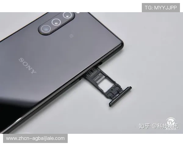 深入分析PA视讯集团首页提供的多样化产品线与客户定制化服务优势 深入分析PA视讯集团首页提供的多样化产品线与客户定制化服务优势